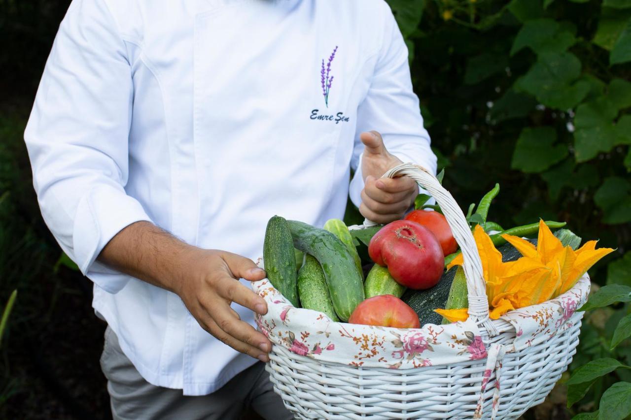 Casa Lavanda Boutique Hotel Şile Ngoại thất bức ảnh